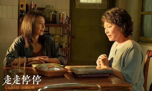 笑泪交织生活百态 走走停停