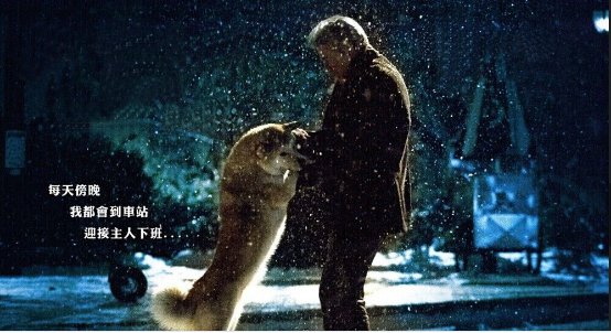 愿，感动常在——记《忠犬八公》